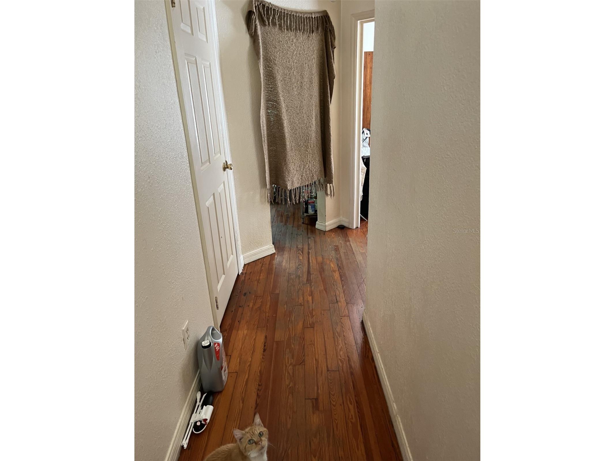 818 NE 9th Avenue Ocala FL 34470 OM726494 image31