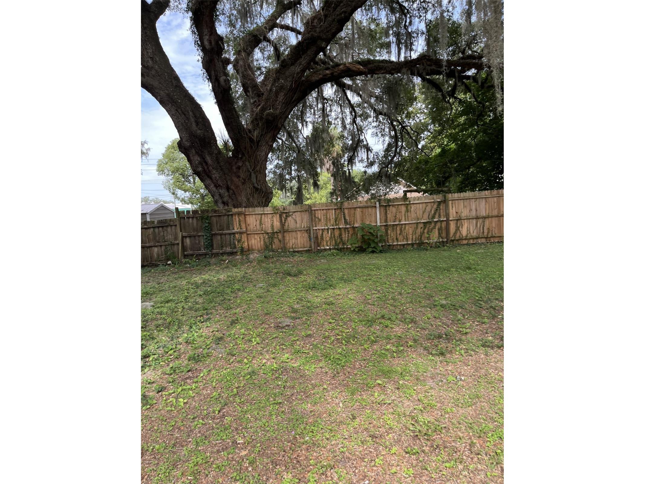 818 NE 9th Avenue Ocala FL 34470 OM726494 image6