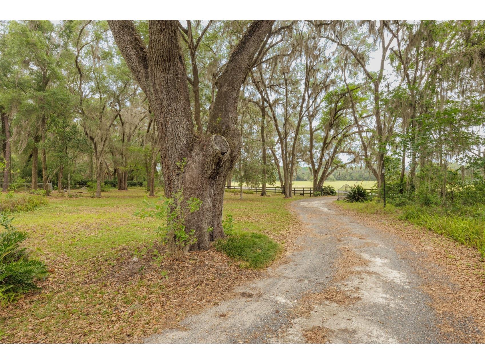 818 NW 202nd Street Newberry FL 32669 GC539873 image8