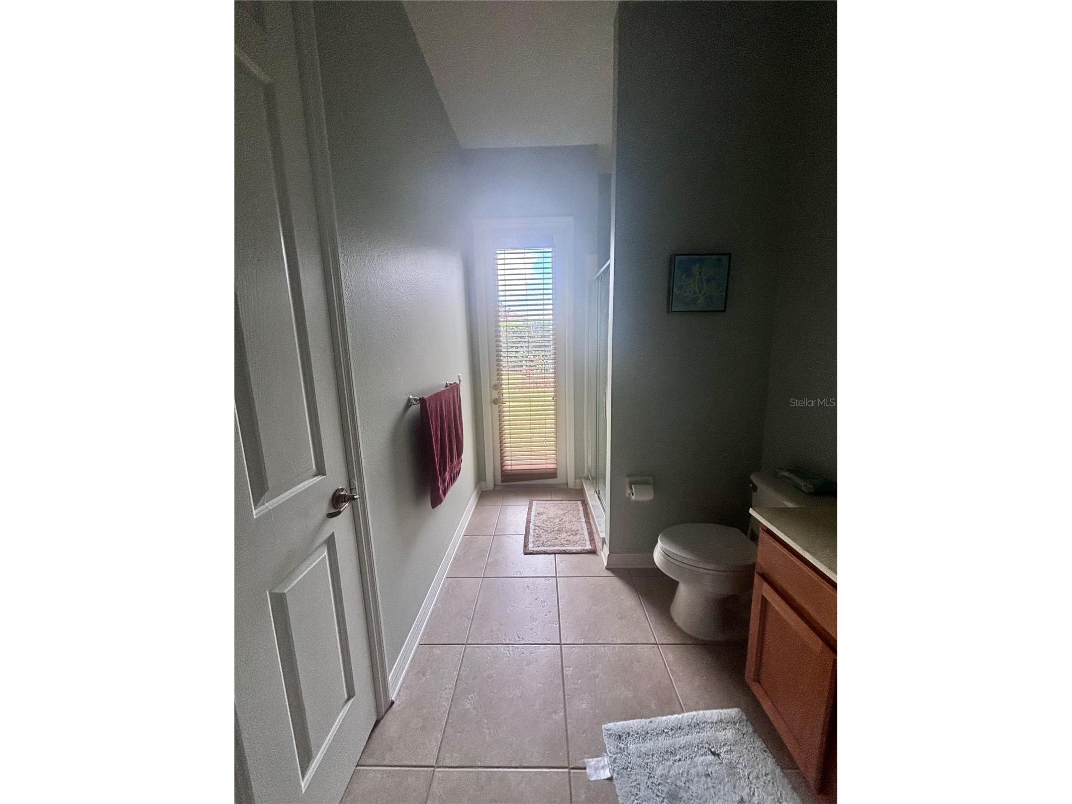 818 Pecori Terrace Ocoee FL 34761 S5149246 image6