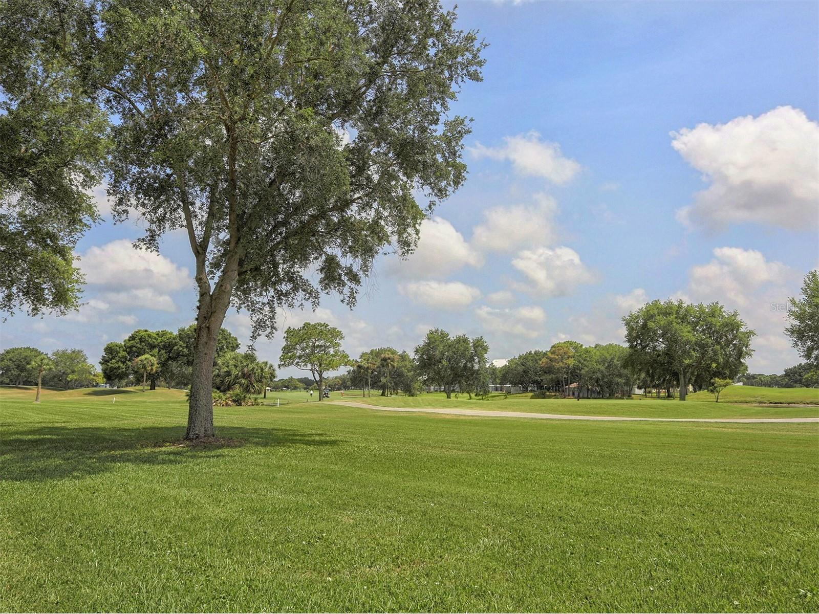 818 Wexford Boulevard #818 Venice FL 34293 N6142816 image24