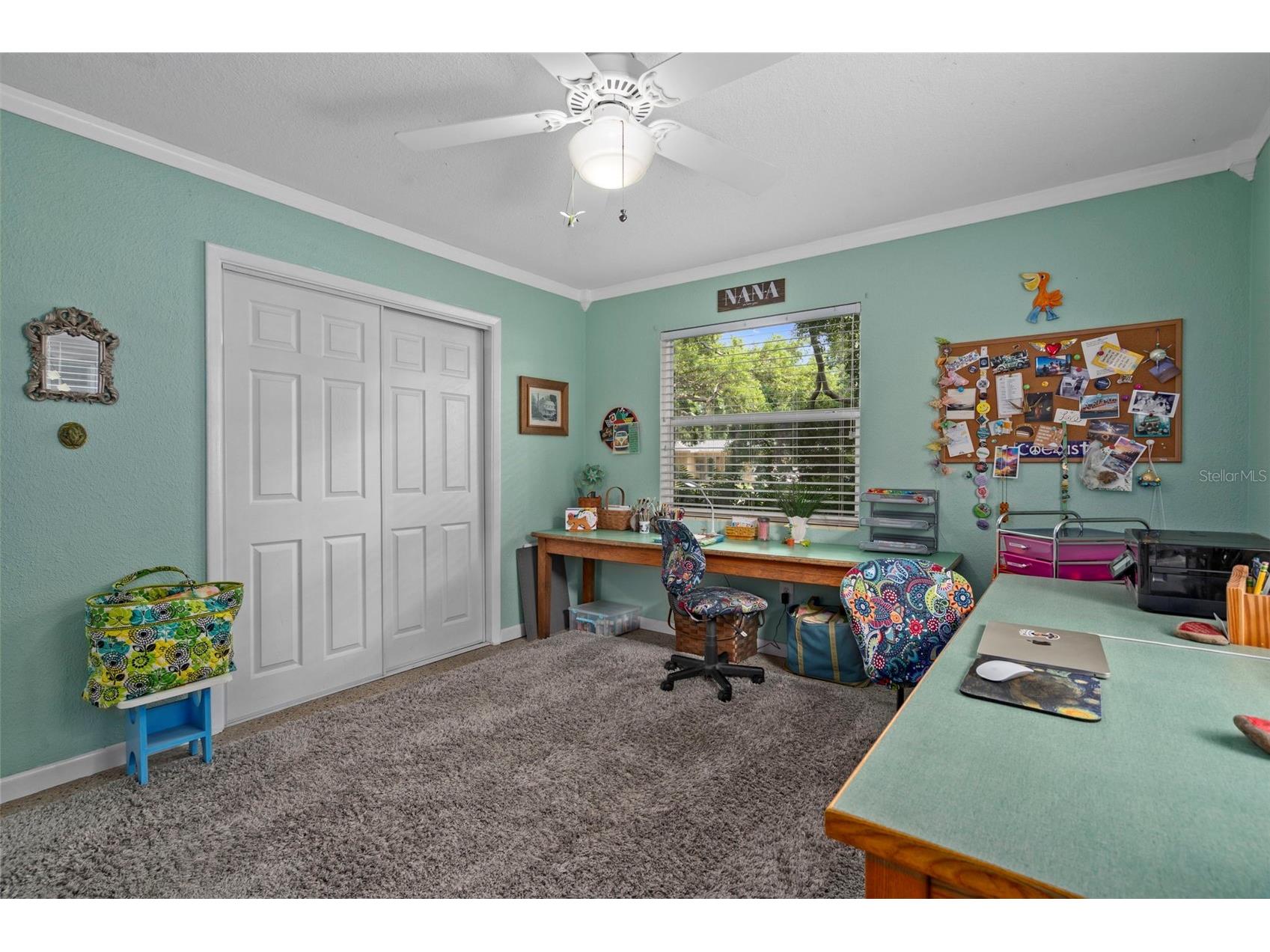 818 Wilkie Street Dunedin FL 34698 TB8515771 image27