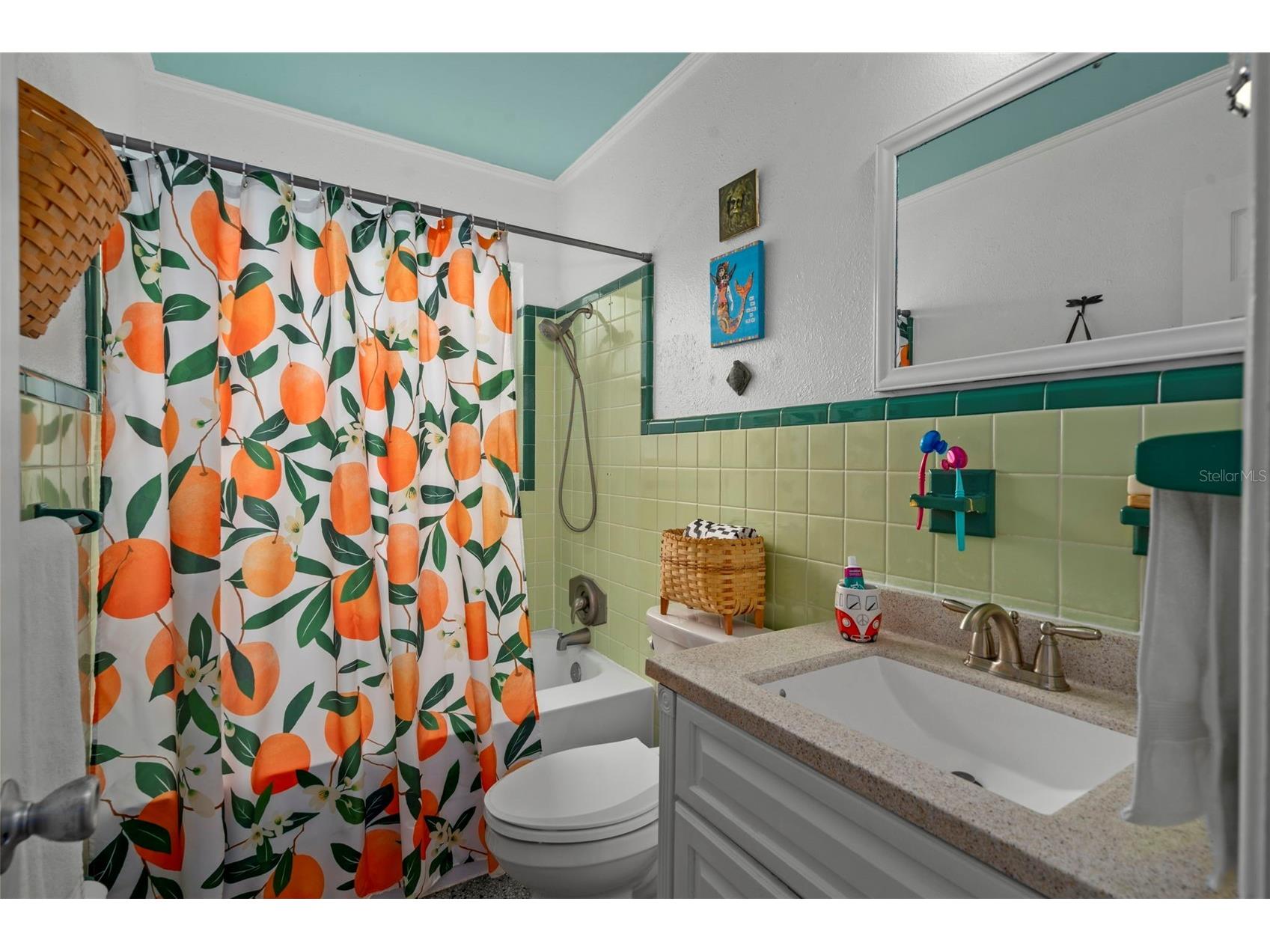 818 Wilkie Street Dunedin FL 34698 TB8515771 image28