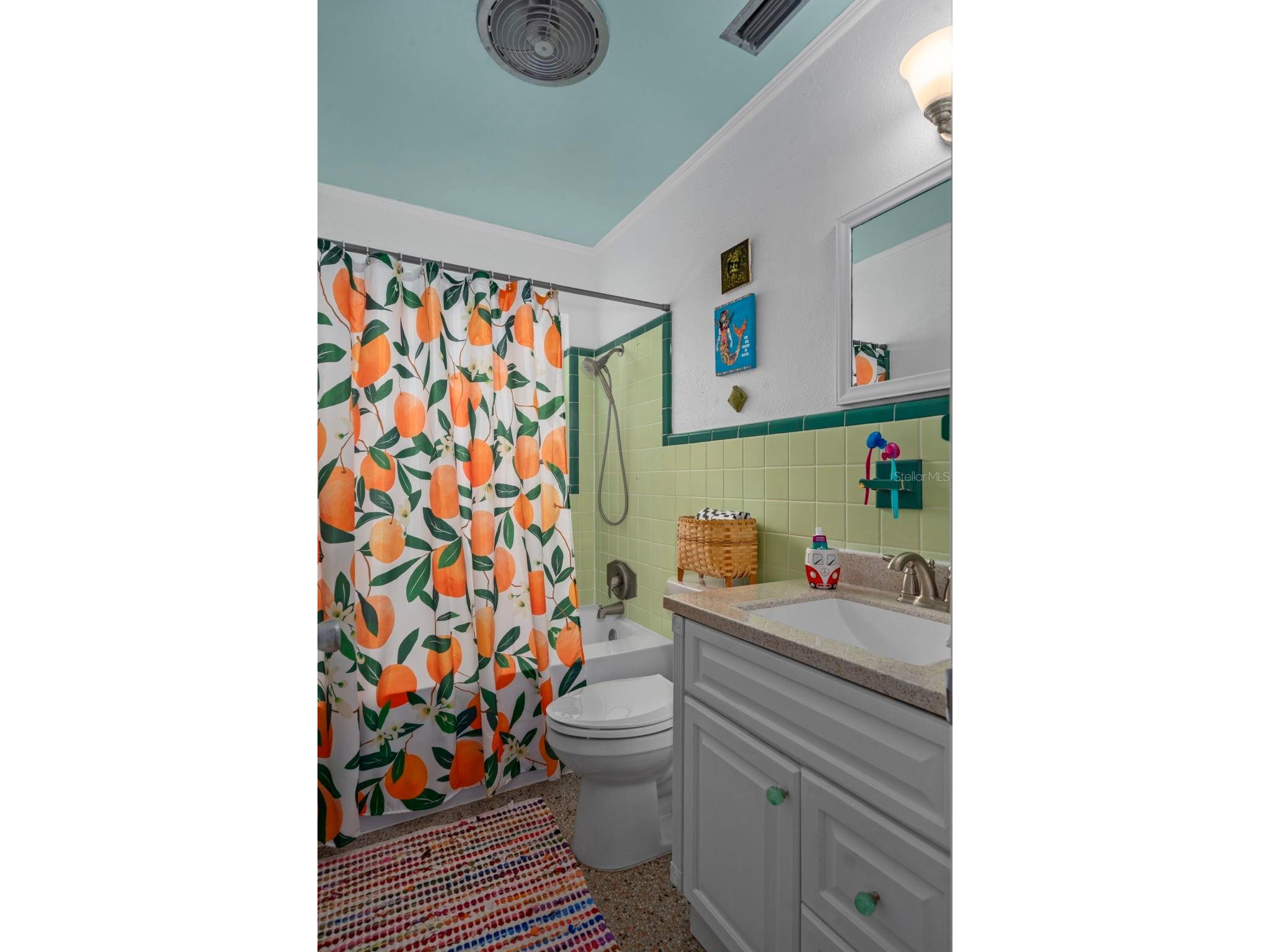 818 Wilkie Street Dunedin FL 34698 TB8515771 image29