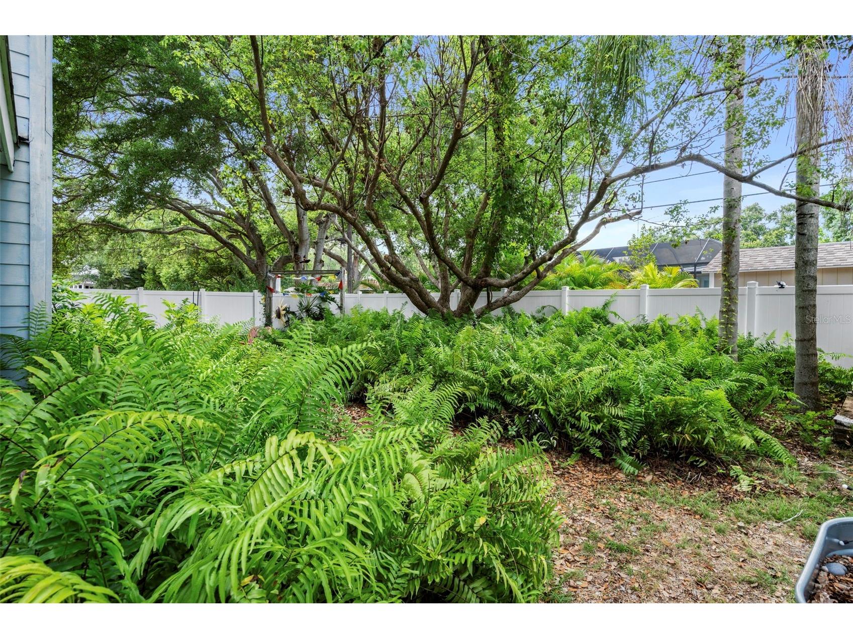 818 Wilkie Street Dunedin FL 34698 TB8515771 image40