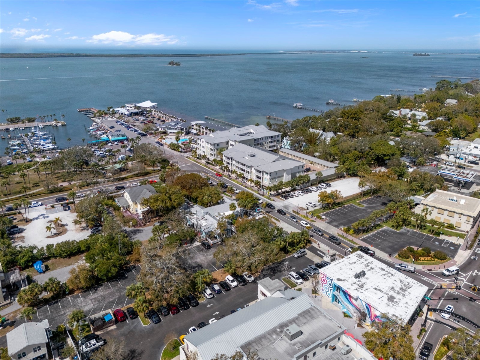 818 Wilkie Street Dunedin FL 34698 TB8515771 image49