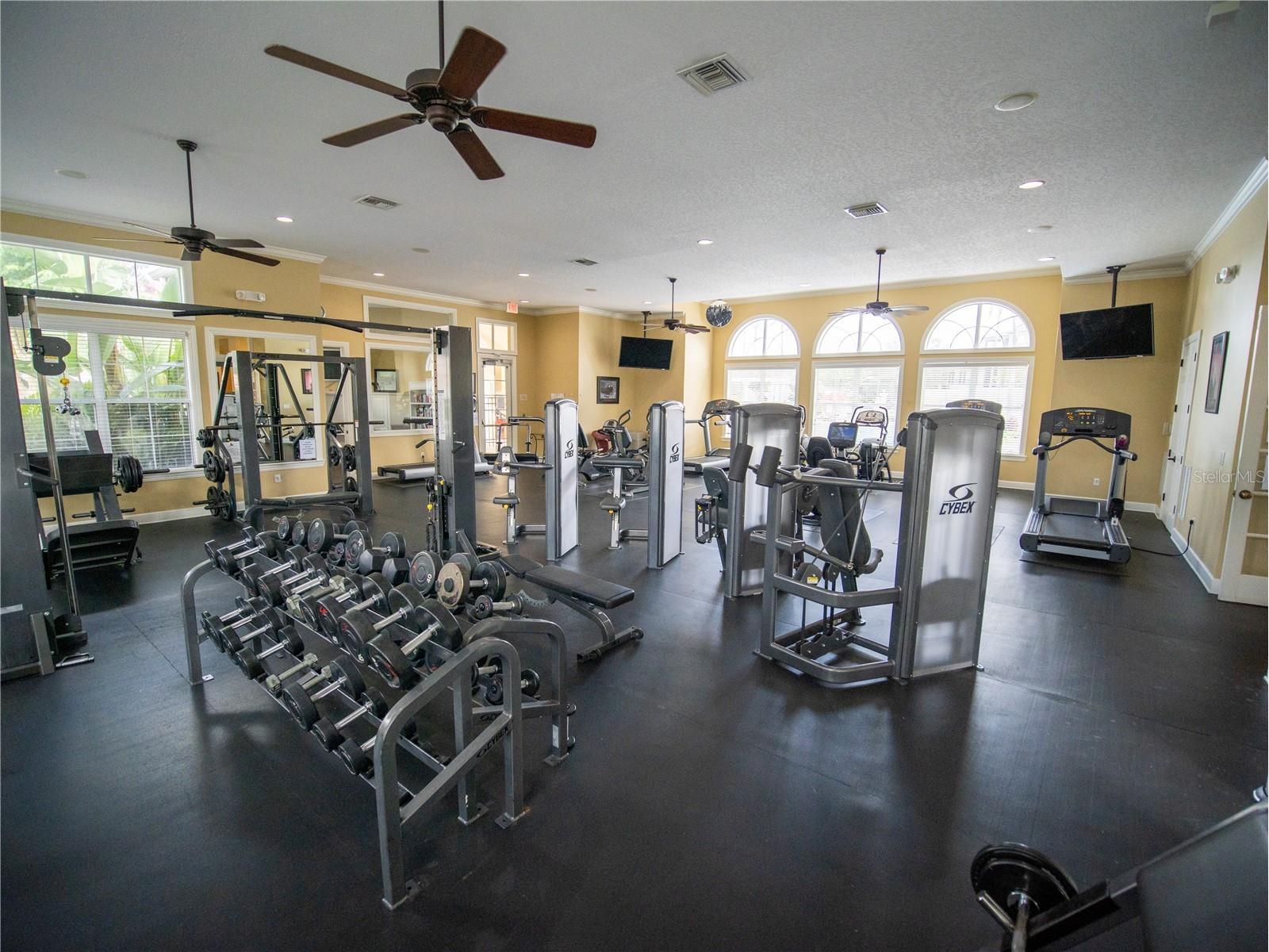 8180 Boat Hook Loop #102 Windermere FL 34786 O6420460 image20