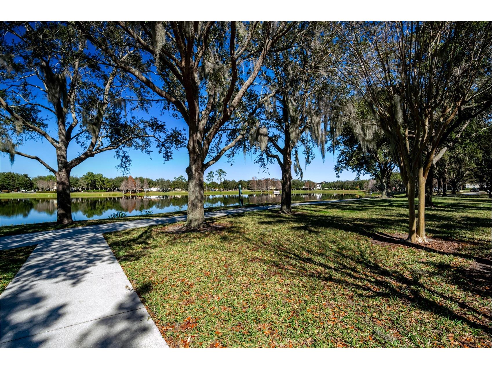 8180 Boat Hook Loop #108/301 Windermere FL 34786 TB8465266 image66