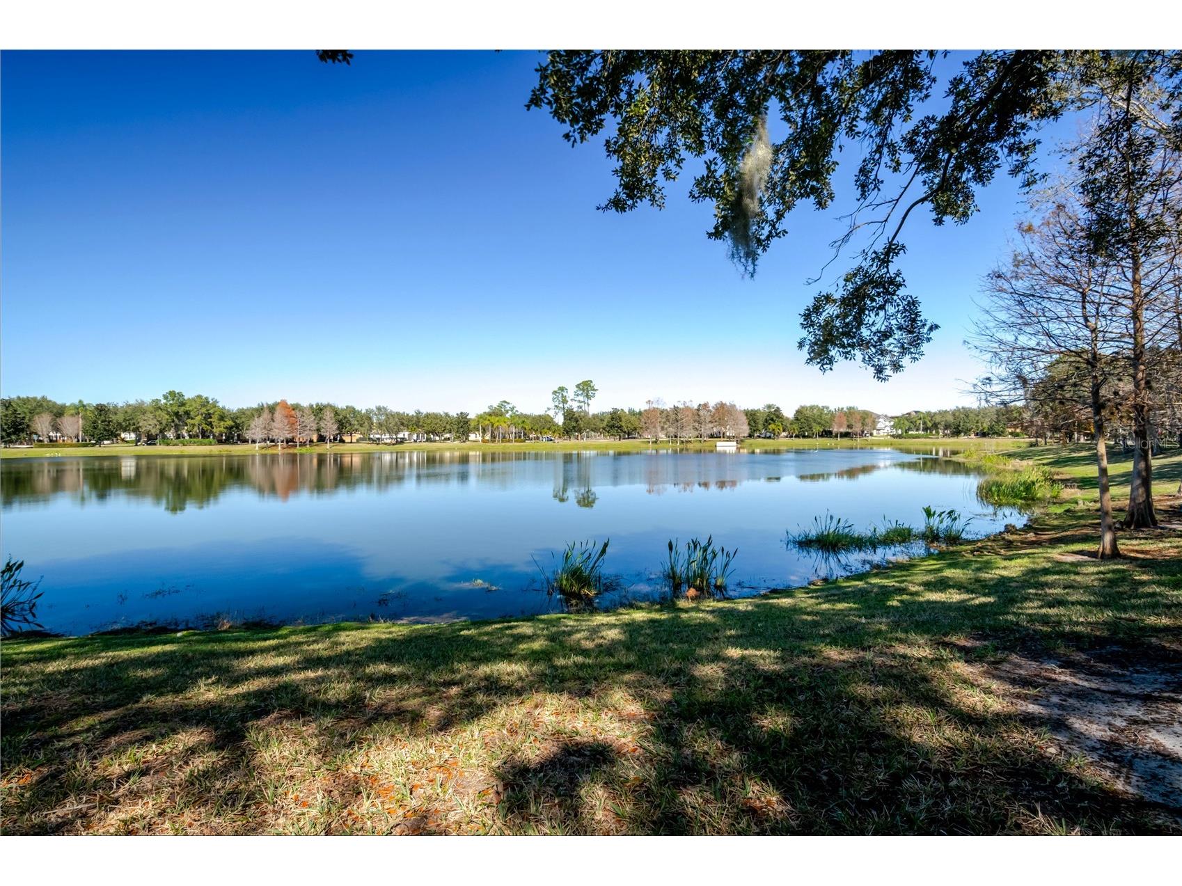 8180 Boat Hook Loop #108/301 Windermere FL 34786 TB8465266 image70
