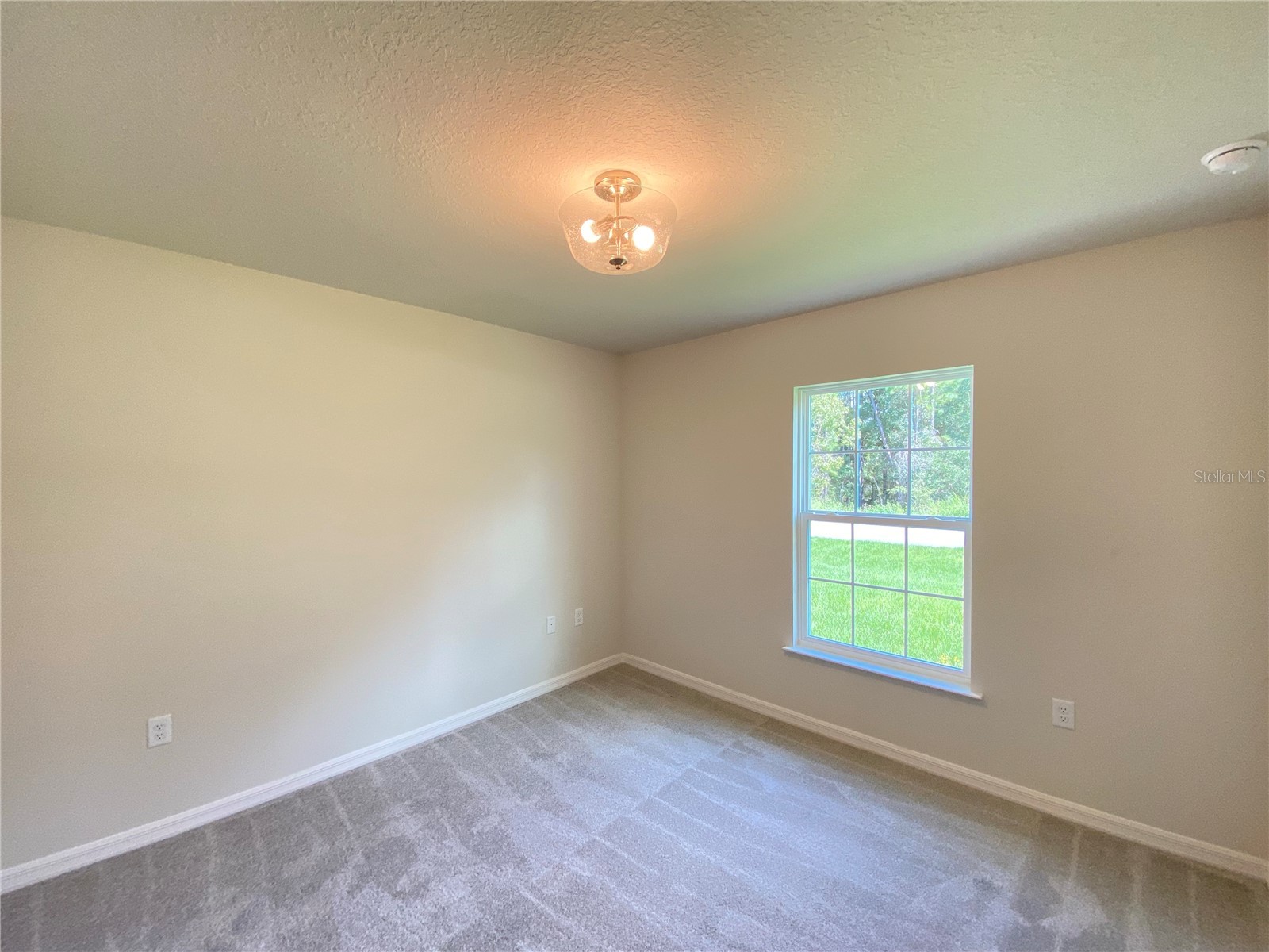 8180 N Wakefield Drive Citrus Springs FL 34434 OM721474 image15
