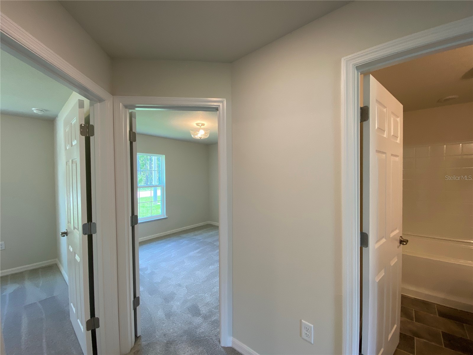 8180 N Wakefield Drive Citrus Springs FL 34434 OM721474 image17