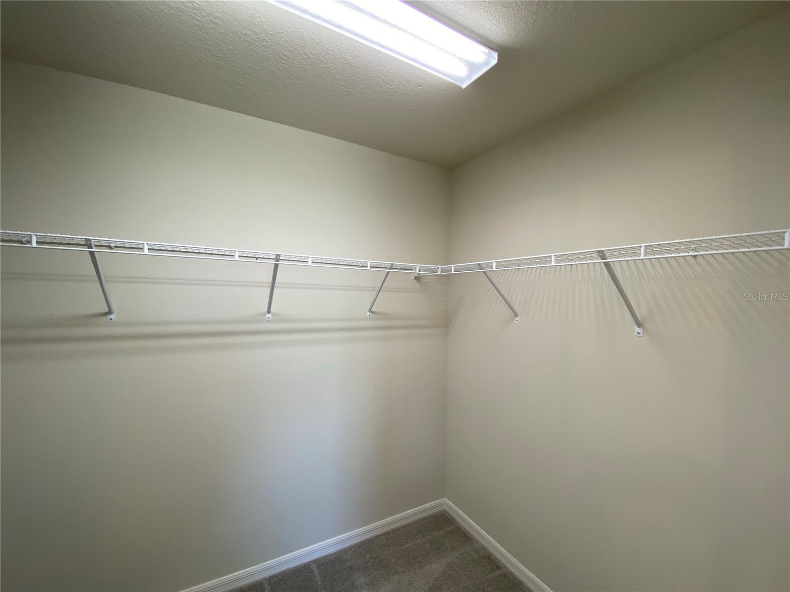 8180 N Wakefield Drive Citrus Springs FL 34434 OM721474 image18