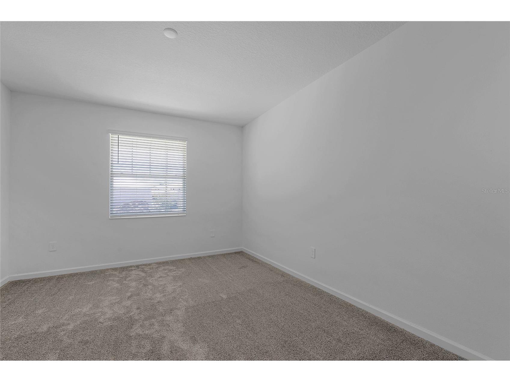8180 Sayings Drive Winter Garden FL 34787 O6423210 image18