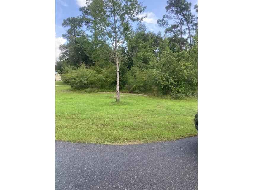 8181 W Barry Court Homosassa FL 34446 O6126802 image1