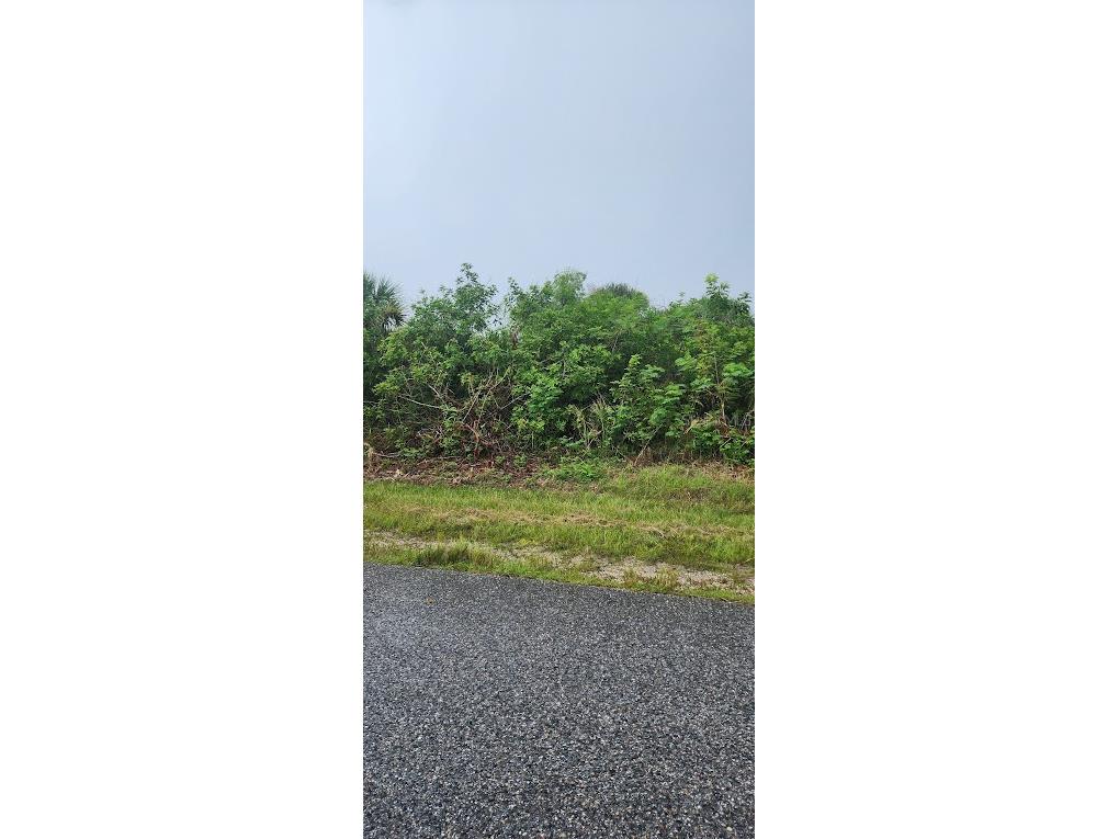 8183 Clyde Circle Port Charlotte FL 33981 D6143384 image3