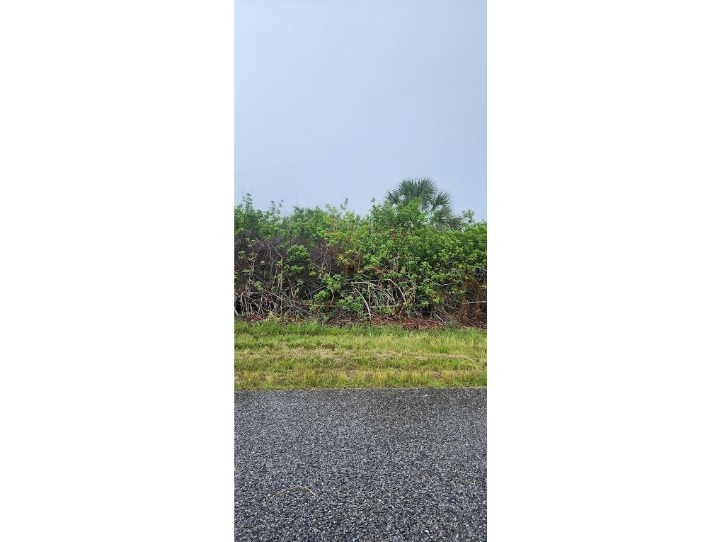 8183 Clyde Circle Port Charlotte FL 33981 D6143384 image4