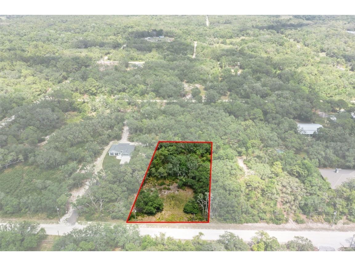 8184 Chimney Rock Drive Webster FL 33597 W7875454 image1