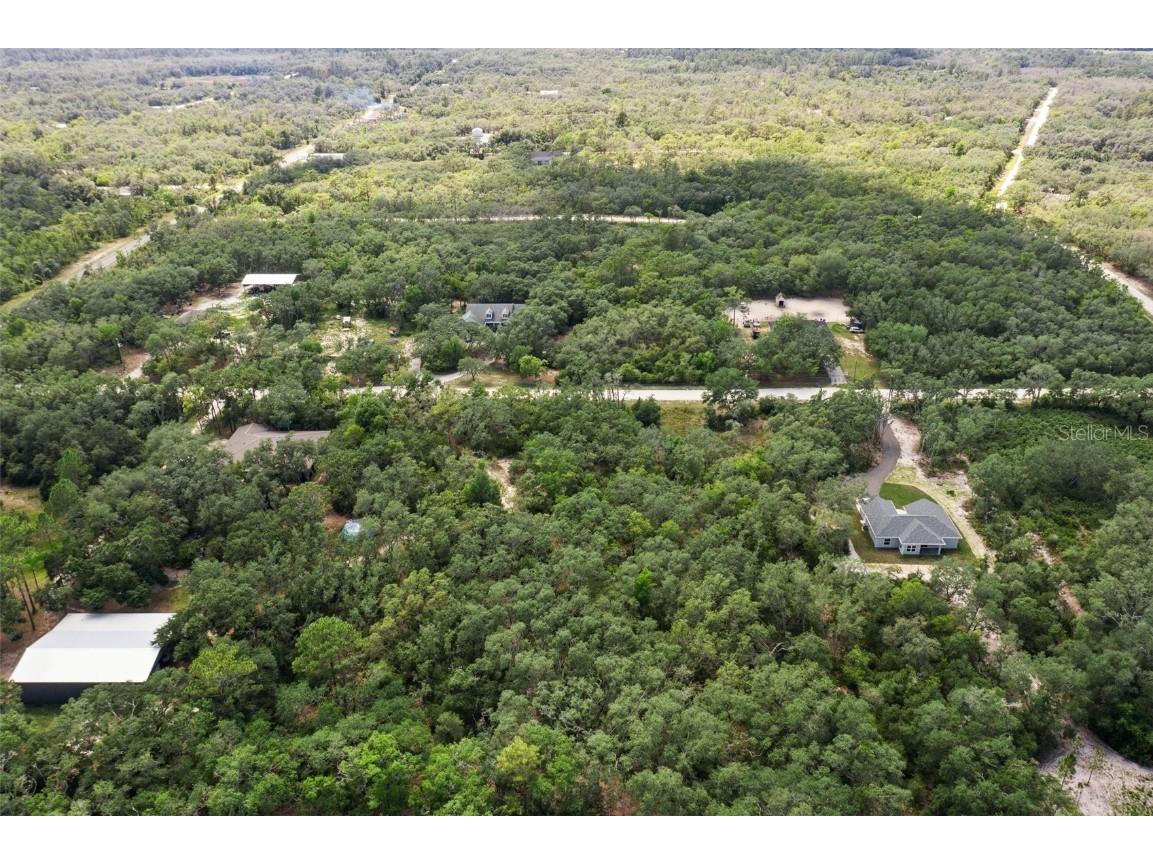 8184 Chimney Rock Drive Webster FL 33597 W7875454 image10