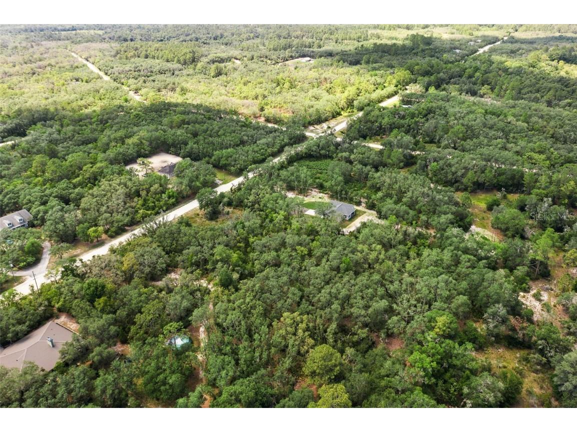 8184 Chimney Rock Drive Webster FL 33597 W7875454 image11