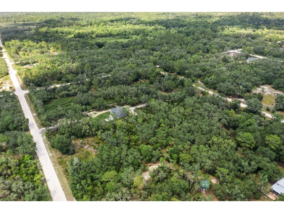 8184 Chimney Rock Drive Webster FL 33597 W7875454 image13