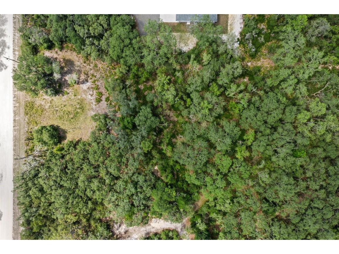 8184 Chimney Rock Drive Webster FL 33597 W7875454 image14