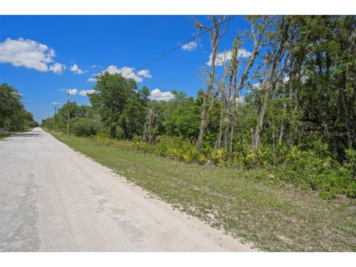 8184 Chimney Rock Drive Webster FL 33597 W7875454 image15