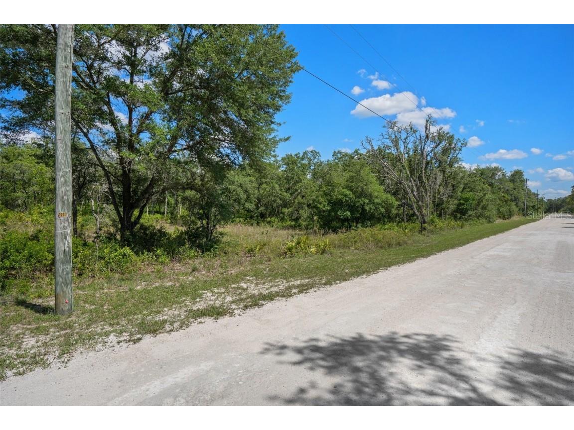 8184 Chimney Rock Drive Webster FL 33597 W7875454 image16