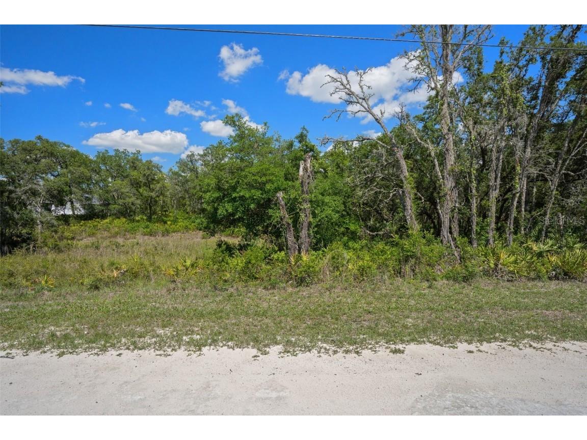 8184 Chimney Rock Drive Webster FL 33597 W7875454 image17