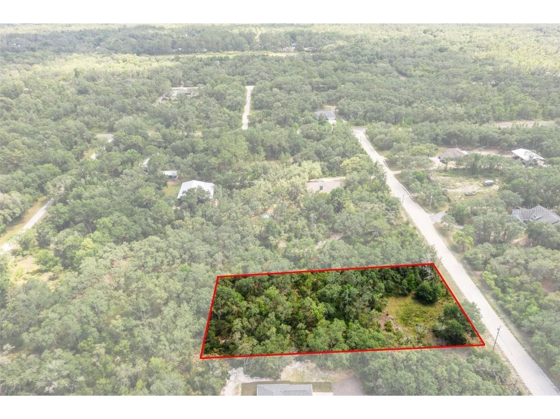 8184 Chimney Rock Drive Webster FL 33597 W7875454 image2