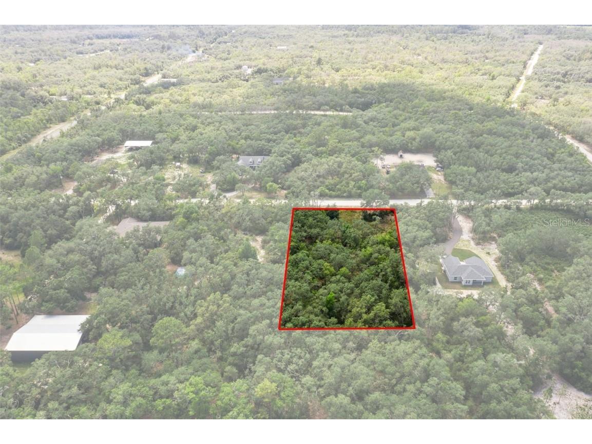 8184 Chimney Rock Drive Webster FL 33597 W7875454 image3