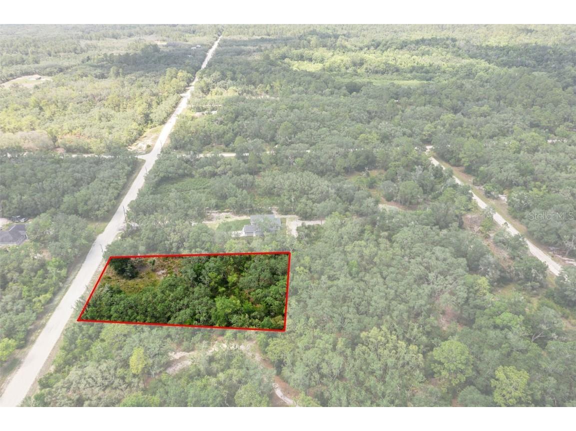 8184 Chimney Rock Drive Webster FL 33597 W7875454 image4