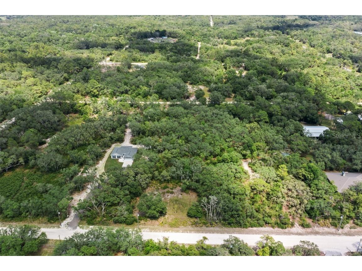 8184 Chimney Rock Drive Webster FL 33597 W7875454 image5