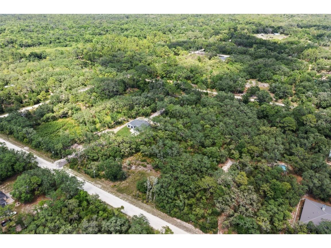 8184 Chimney Rock Drive Webster FL 33597 W7875454 image6