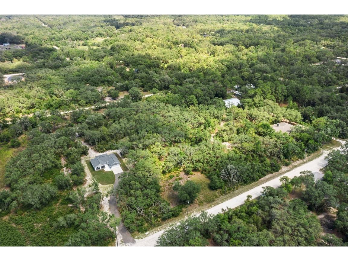 8184 Chimney Rock Drive Webster FL 33597 W7875454 image7