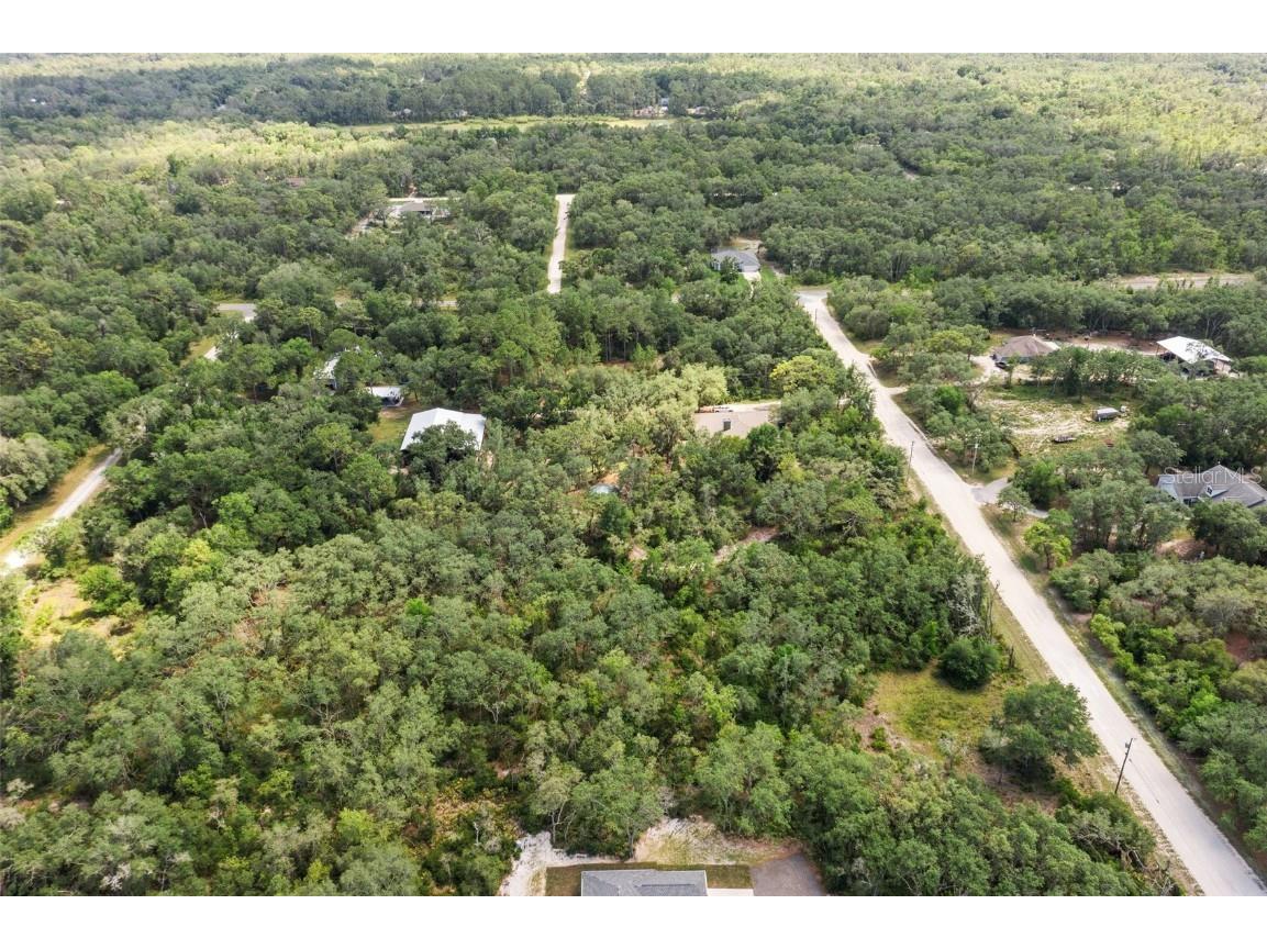 8184 Chimney Rock Drive Webster FL 33597 W7875454 image8