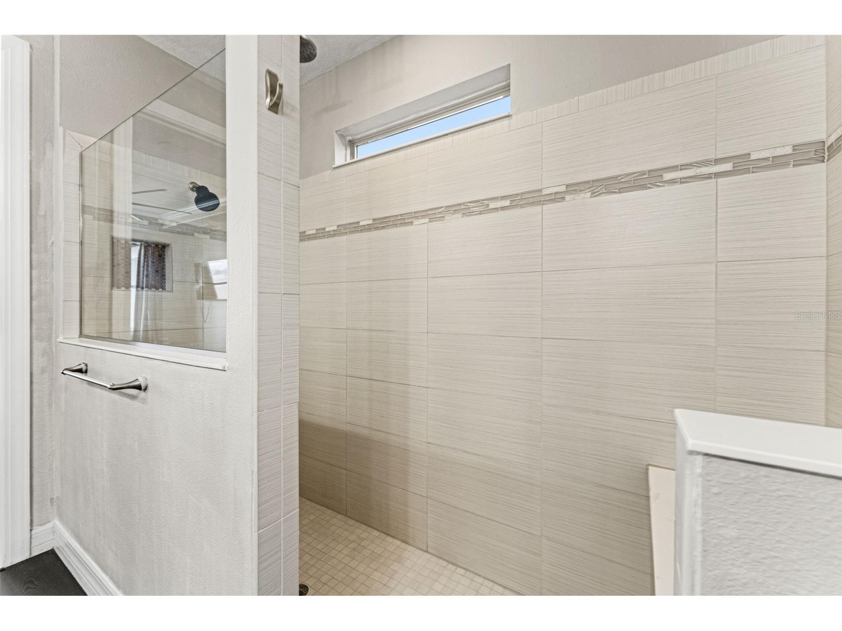 8184 Olive Brook Drive Wesley Chapel FL 33545 TB8480568 image51