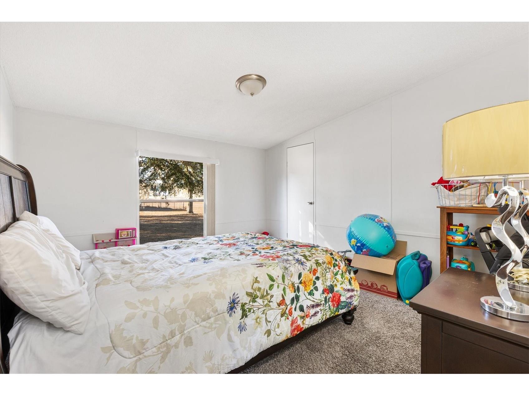 8185 County Road 109 Lady Lake FL 32159 G5107934 image22