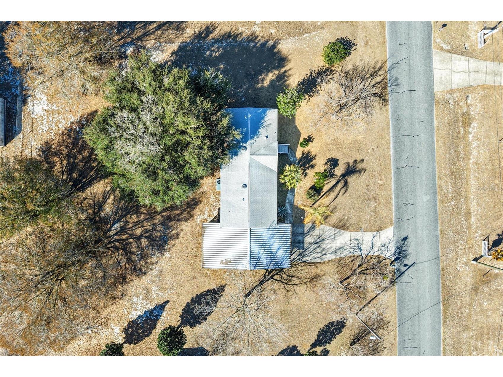 8185 County Road 109 Lady Lake FL 32159 G5107934 image4