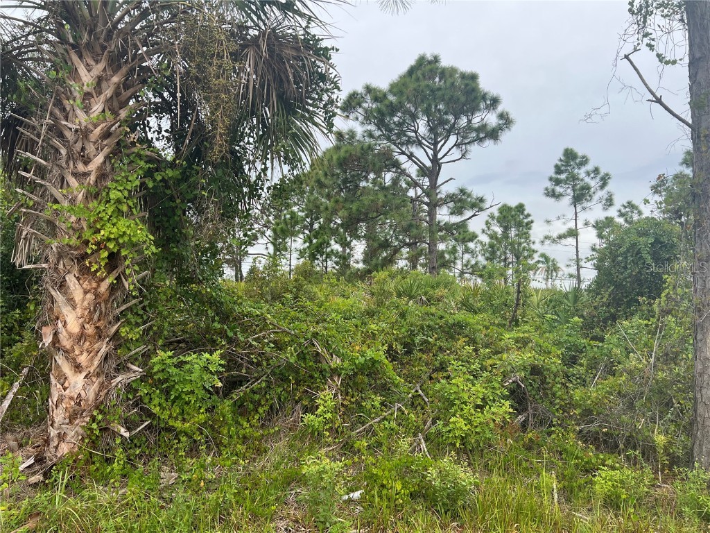 8185 Dimstead Street Port Charlotte FL 33981 A4665257 image1