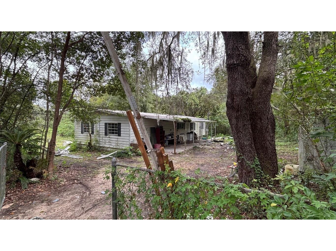 8185 Jasmine Avenue Melrose FL 32666 P4936847 image1