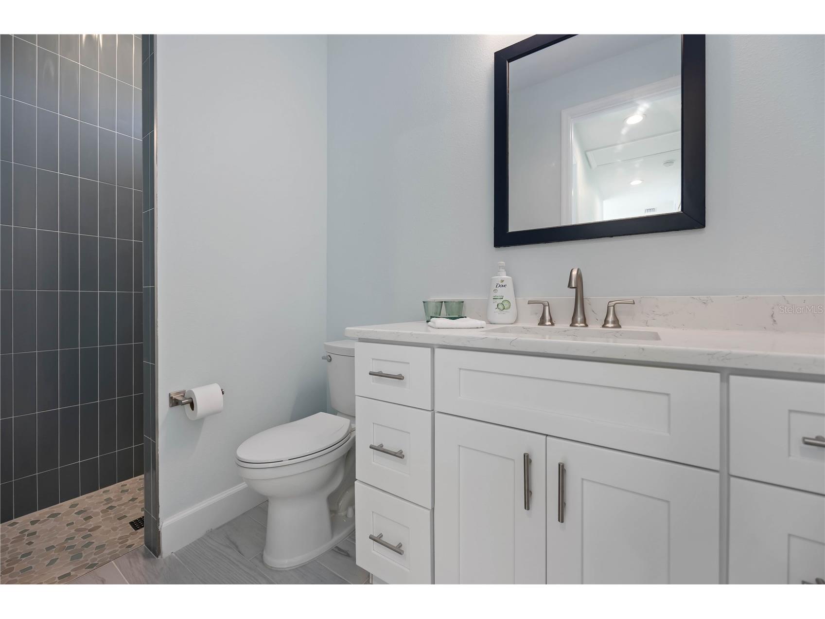 8186 Arlewood Circle Port Charlotte FL 33981 - MARGO WATERWAY D6145340 image29