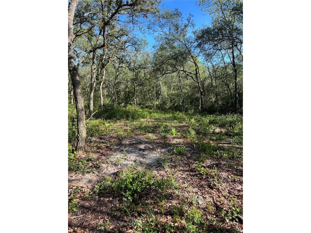 8186 Gidding Lane Webster FL 33597 G5071458 image1