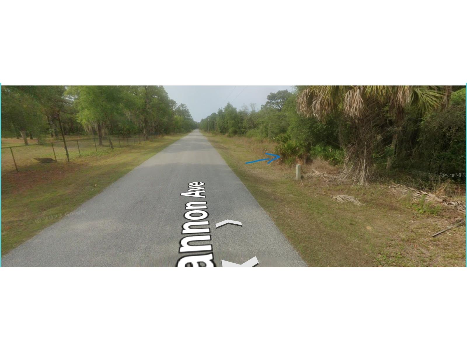 8186 N Shannon Avenue Crystal River FL 34428 O6332655 image1