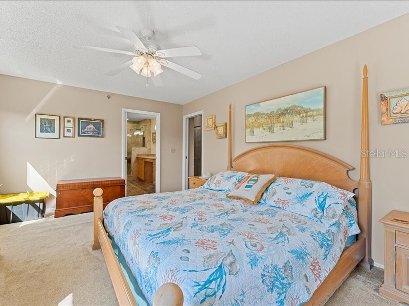 8186 Terrace Garden Drive N #401 Saint Petersburg FL 33709 TB8441388 image14