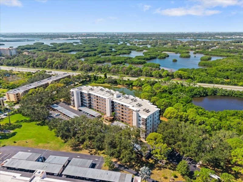 8186 Terrace Garden Drive N #401 Saint Petersburg FL 33709 TB8441388 image45