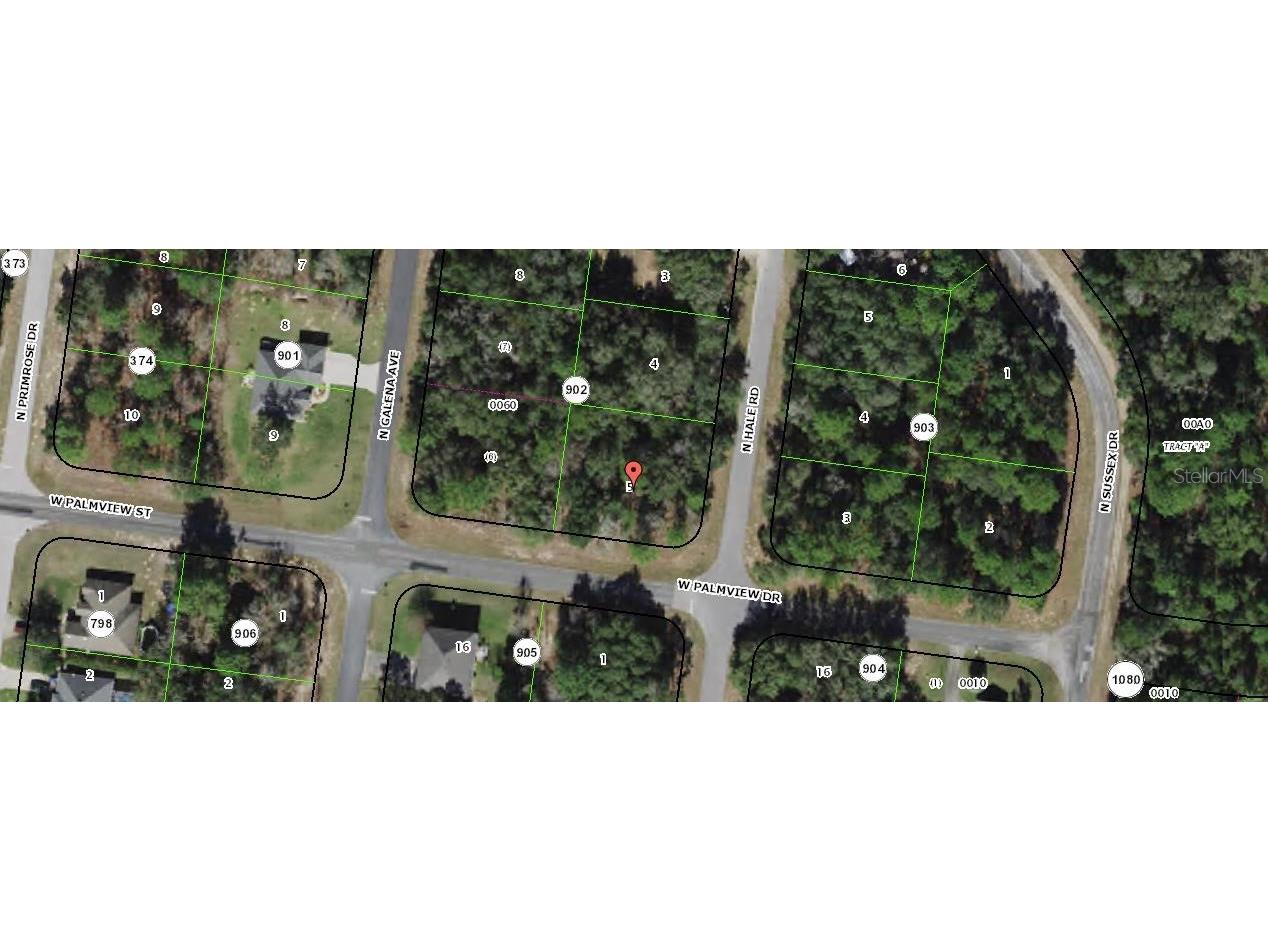 8188 N Hale Road Citrus Springs FL 34434 FC293694 image1