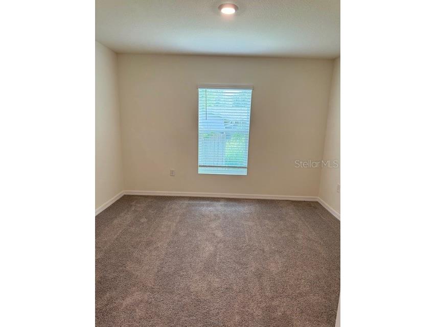 8189 County Line Road Spring Hill FL 34606 O6349692 image11