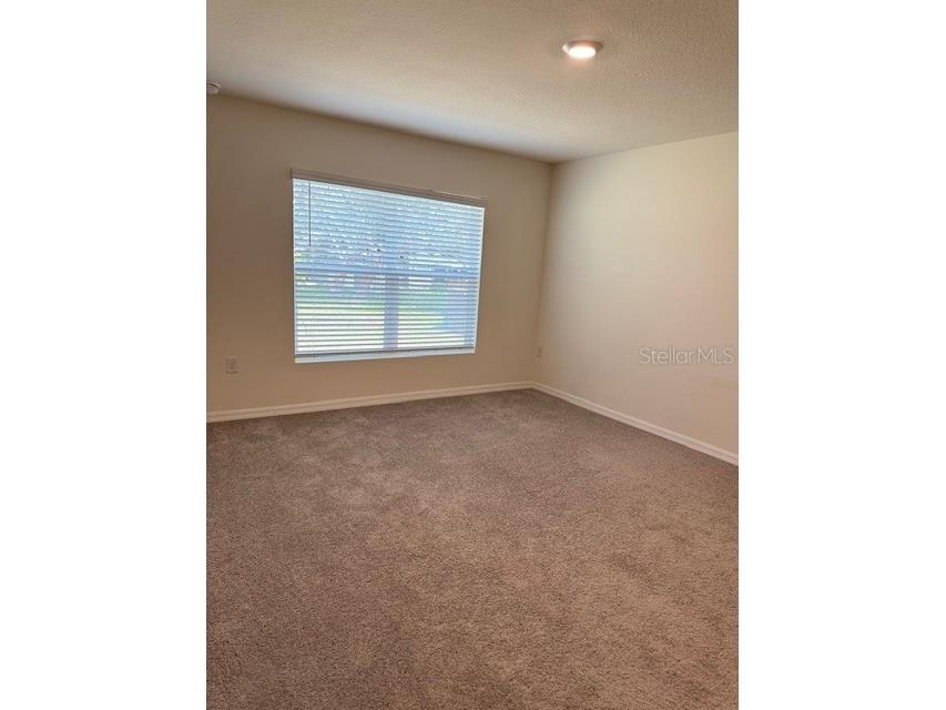 8189 County Line Road Spring Hill FL 34606 O6349692 image29