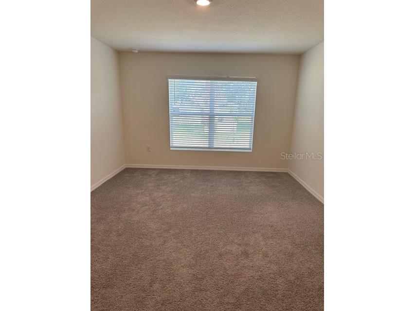 8189 County Line Road Spring Hill FL 34606 O6349692 image30