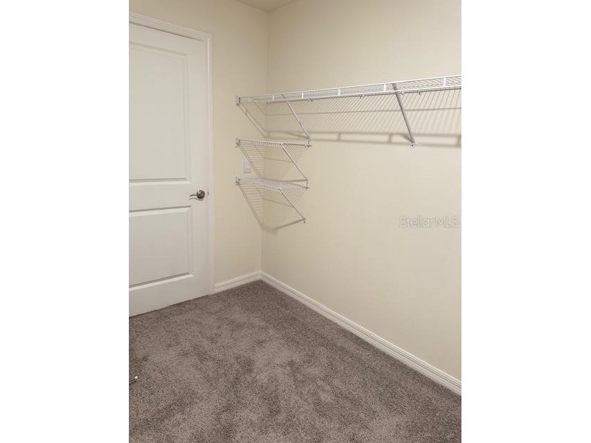 8189 County Line Road Spring Hill FL 34606 O6349692 image36